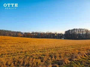 Prodej louky, Plzeň - Malesice, 106411 m2