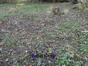 Prodej zahrady, Struhařov, V Zahradách, 397 m2