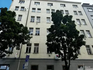 Pronájem bytu 1+1, Praha - Vinohrady, Řipská, 47 m2