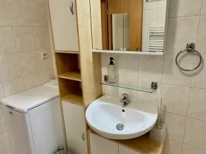 Pronájem bytu 1+kk, Brno, Trýbova, 36 m2