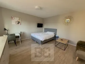 Pronájem bytu 1+kk, České Budějovice, Štítného, 27 m2