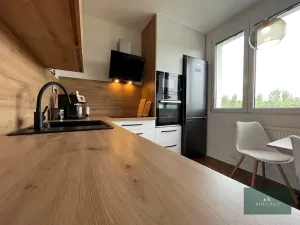 Prodej bytu 3+1, Plzeň, Manětínská, 70 m2