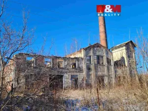 Prodej výrobních prostor, Ryžoviště, Tovární, 500 m2