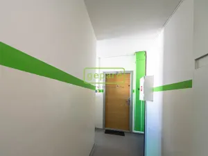 Prodej bytu 3+kk, Praha, Borovanského, 70 m2