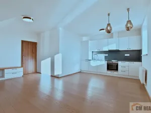 Pronájem bytu 4+kk, Olomouc - Hodolany, Holická, 82 m2