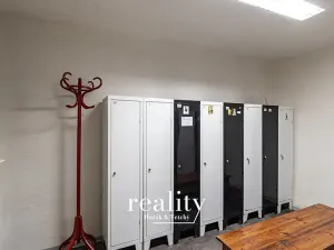 Pronájem výrobních prostor, Šebrov-Kateřina, 243 m2