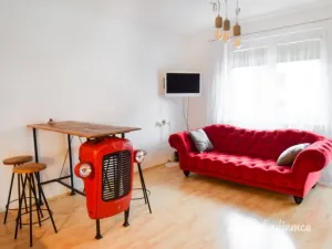 Pronájem bytu 1+kk, Brno - Staré Brno, Trýbova, 34 m2