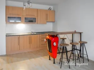 Pronájem bytu 1+kk, Brno - Staré Brno, Trýbova, 34 m2