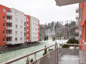 Pronájem bytu 1+kk, Brno - Staré Brno, Trýbova, 34 m2