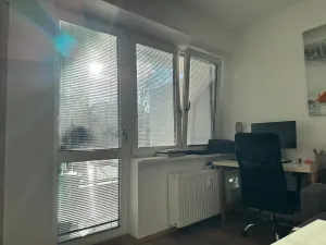 Pronájem bytu 1+kk, Brno, Dřevařská, 30 m2