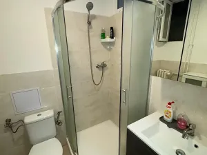 Pronájem bytu 1+kk, Brno, Dřevařská, 30 m2