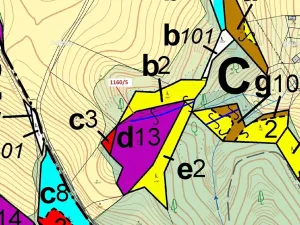 Dražba lesa, Letohrad, 282 m2