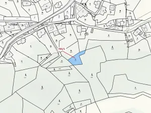 Dražba louky, Zlatá Olešnice, 438 m2