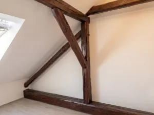 Prodej bytu 2+kk, České Budějovice, Rudolfovská tř., 43 m2