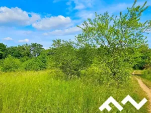 Prodej pozemku, Brno, Sedlička, 3622 m2