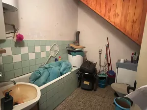 Prodej chalupy, Suchdol, 160 m2