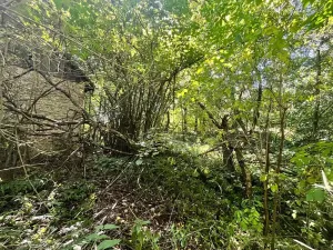 Prodej chalupy, Suchdol, 160 m2