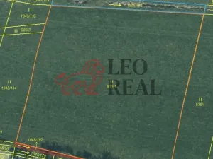 Prodej pole, Vstiš, 76424 m2