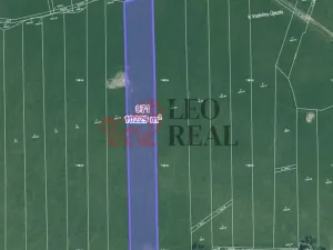 Prodej pole, Vstiš, 76424 m2