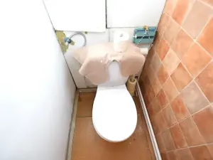 Prodej bytu 2+1, Týn nad Vltavou, 52 m2