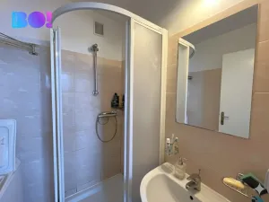 Prodej bytu 3+1, Žďár nad Sázavou, Haškova, 77 m2