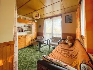 Prodej chaty, Ústí nad Orlicí, 45 m2