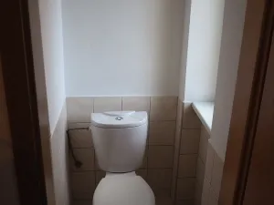 Pronájem bytu 2+1, Ostrov, Luční, 60 m2