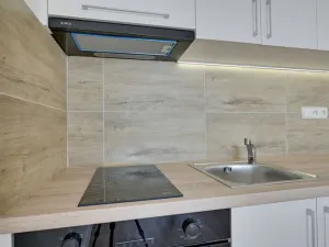 Pronájem bytu 1+kk, Ostrava - Moravská Ostrava, Sládkova, 29 m2