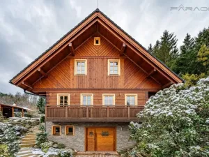 Prodej obchodního prostoru, Borotín - Kamenná Lhota, 194 m2