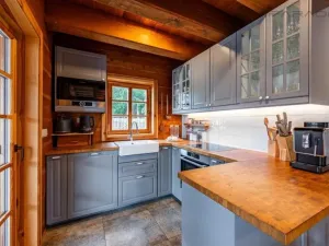 Prodej obchodního prostoru, Borotín - Kamenná Lhota, 194 m2