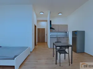 Pronájem bytu 1+kk, Olomouc - Hodolany, Holická, 42 m2