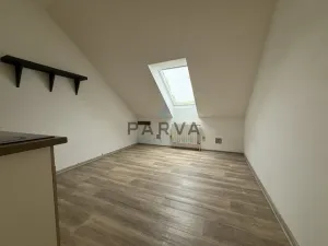 Pronájem bytu 1+kk, Plzeň - Jižní Předměstí, Havlíčkova, 21 m2