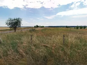 Prodej pole, Maršov, 31902 m2