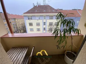 Pronájem bytu 2+kk, Praha - Žižkov, Žerotínova, 51 m2