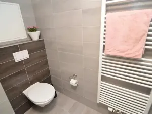 Pronájem bytu 1+kk, Vestec, U Hrubých, 35 m2