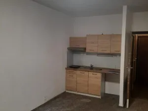 Pronájem bytu 1+kk, Ostrava - Moravská Ostrava, Lechowiczova, 28 m2