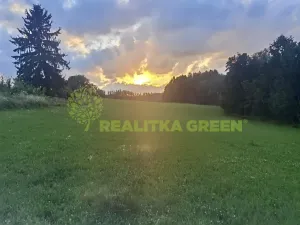 Prodej louky, Světlá nad Sázavou, 41681 m2