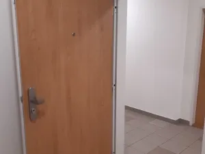 Pronájem bytu 1+kk, Plzeň - Jižní Předměstí, Technická, 32 m2