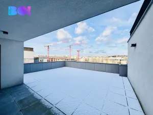 Pronájem kanceláře, Ostrava, F. X. Riepla, 171 m2