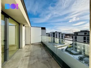 Pronájem bytu 5+kk, Ostrava, F. X. Riepla, 252 m2