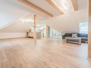 Pronájem bytu 4+kk, Srbsko, Nad Kapličkou, 180 m2