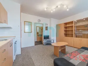 Prodej bytu 1+kk, Frýdek-Místek, J. E. Purkyně, 27 m2