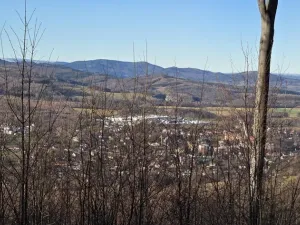 Prodej komerčního pozemku, Petrovice, 151 m2