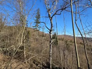 Prodej komerčního pozemku, Petrovice, 151 m2