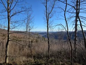 Prodej komerčního pozemku, Petrovice, 151 m2