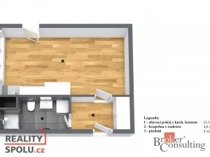 Pronájem bytu 1+kk, Praha - Žižkov, Olgy Havlové, 29 m2