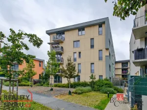 Pronájem bytu 1+kk, Praha - Žižkov, Olgy Havlové, 29 m2