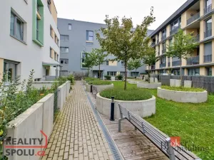 Pronájem bytu 1+kk, Praha - Žižkov, Olgy Havlové, 29 m2