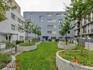 Pronájem bytu 1+kk, Praha - Žižkov, Olgy Havlové, 29 m2