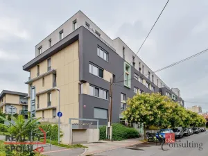 Pronájem bytu 1+kk, Praha - Žižkov, Olgy Havlové, 29 m2
